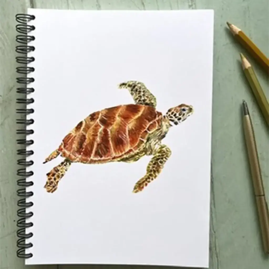 4784-Carnet-De-Notes-La-Tortue-Verte-1.webp