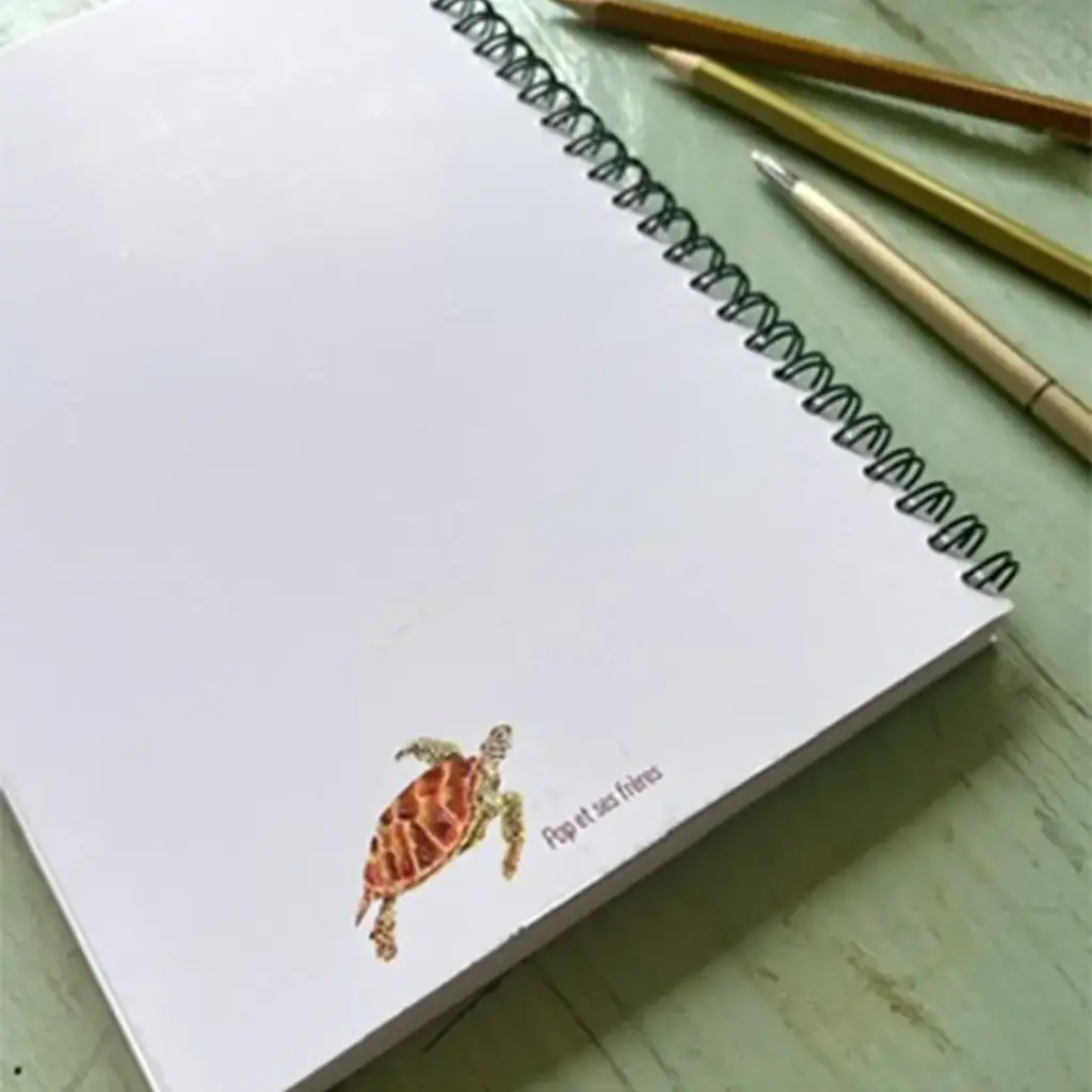 4784-Carnet-De-Notes-La-Tortue-Verte-2.webp