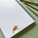 4784-Carnet-De-Notes-La-Tortue-Verte-2.webp
