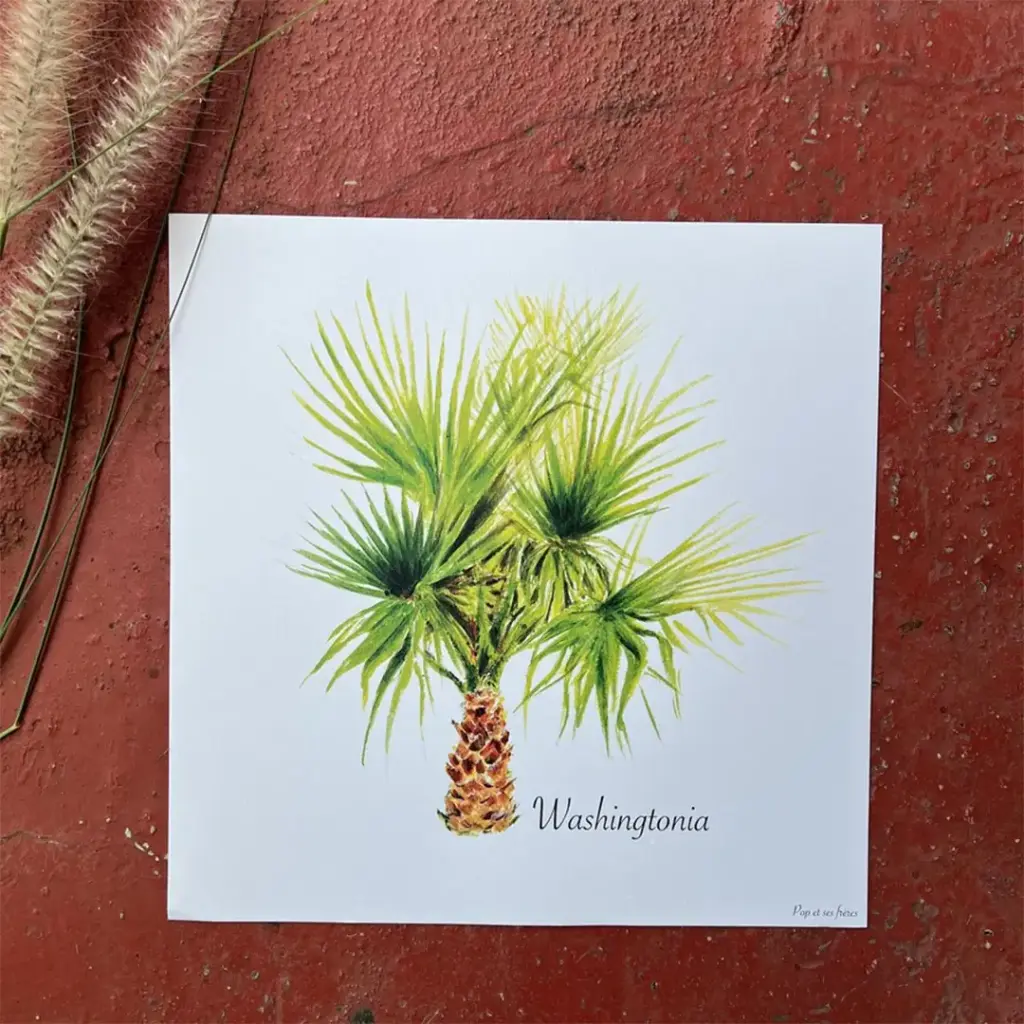 5446-Affiche-Le-Washingtonia-00001.webp