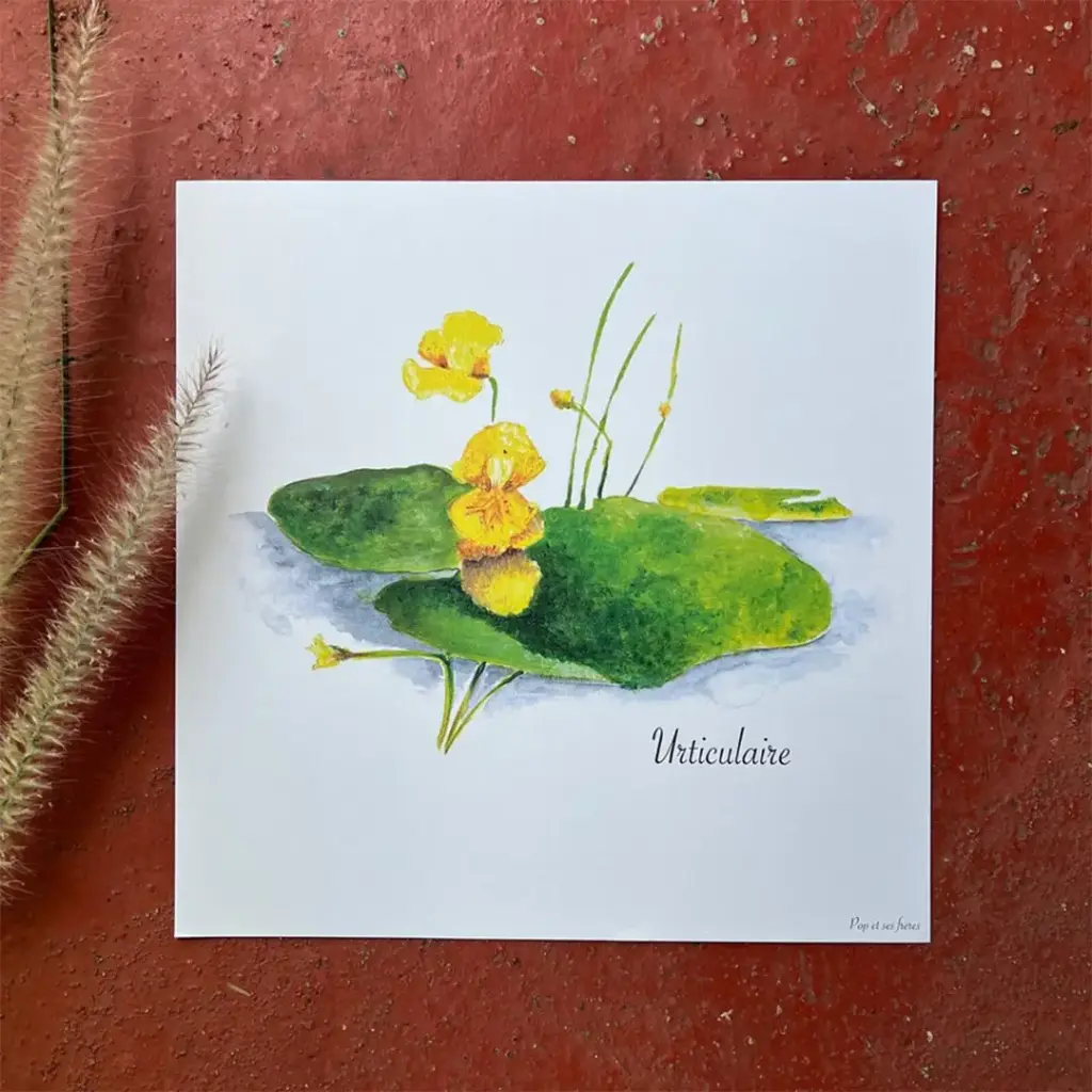 5460-Affiche-L-Urticulaire-00001.webp
