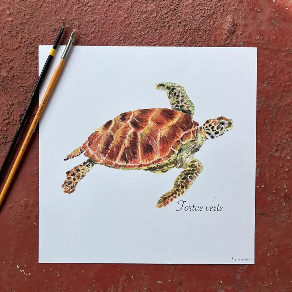 5484-Affiche-La-Tortue-Verte-00001.webp