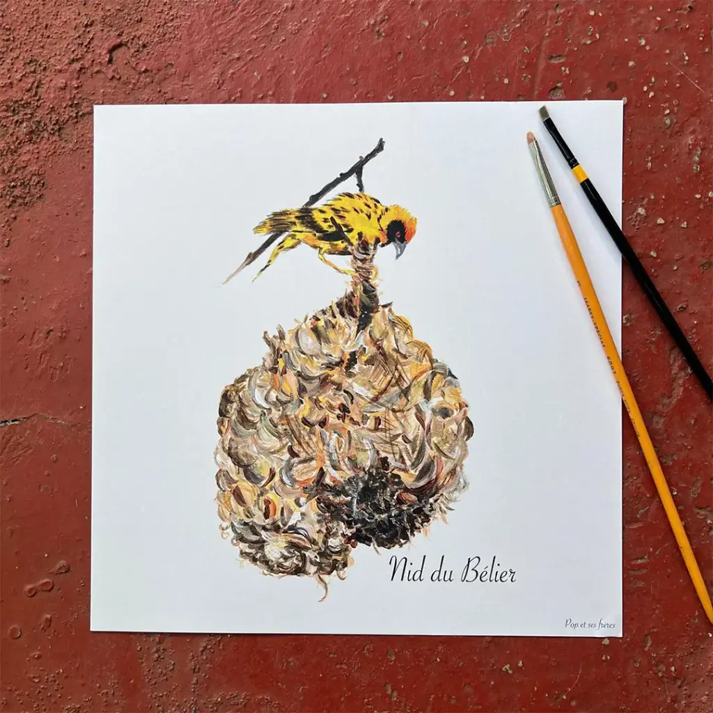 5620-Affiche-Le-Nid-De-Belier-00001.webp