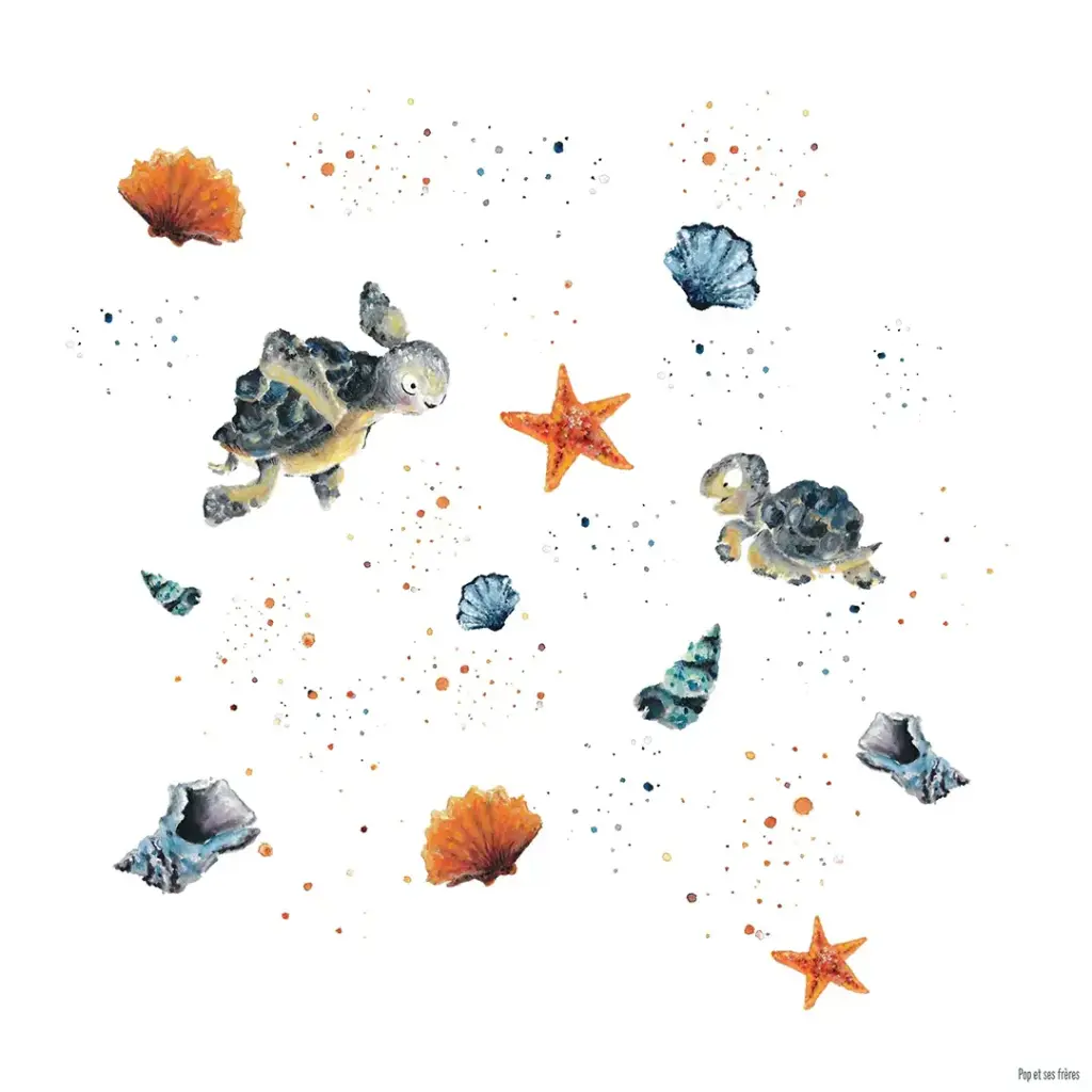 Affiche - Les Tortues et les Coquillages