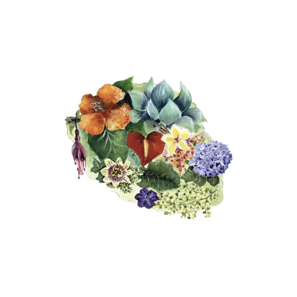 [5873] Affiche L'Ile Aux Fleurs Sur Fond Blanc