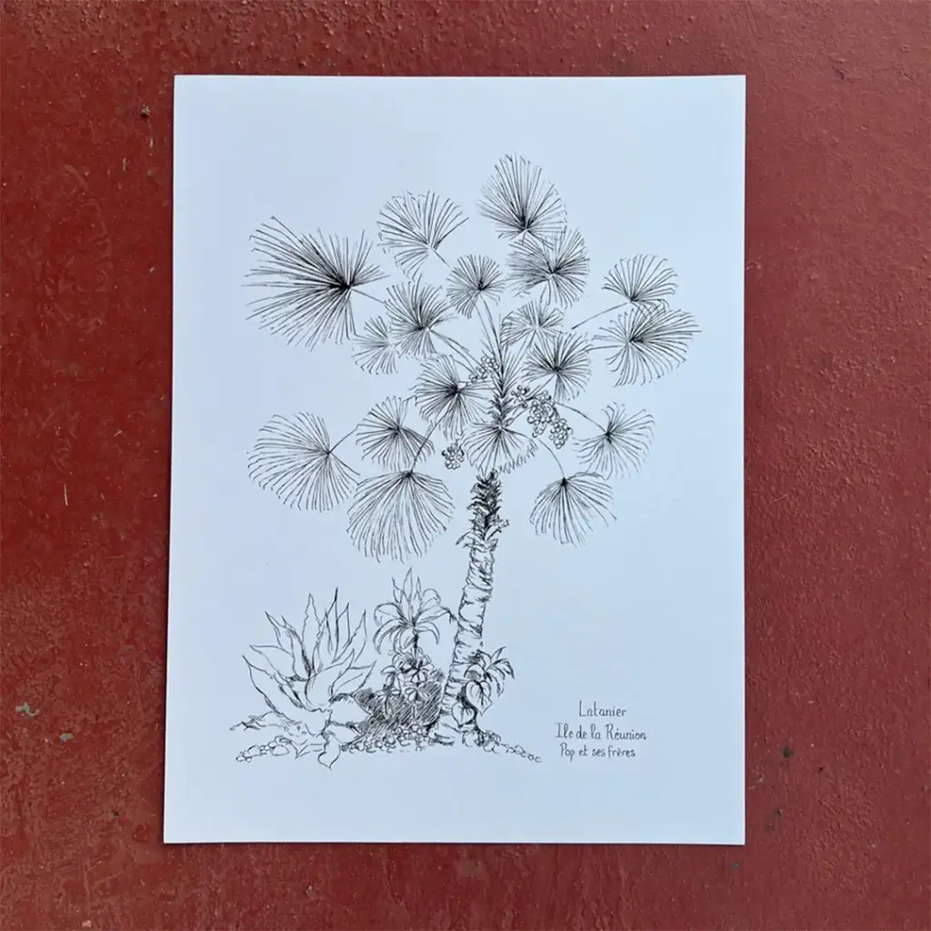 Affiche Latanier Noir