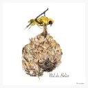 Affiche Le Nid de Belier