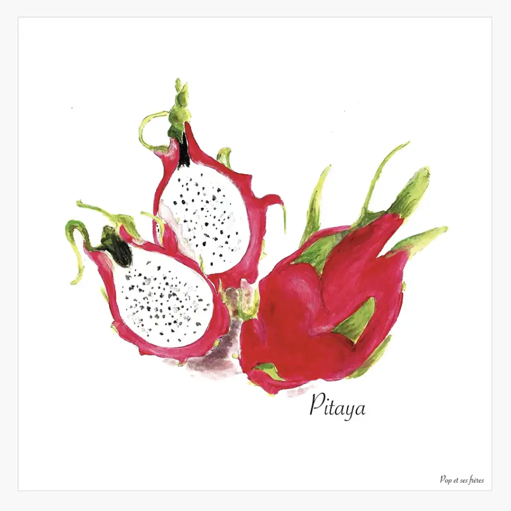 [5569] Affiche Le Pitaya