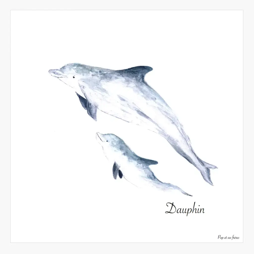 [5958] Affiche Les Dauphins
