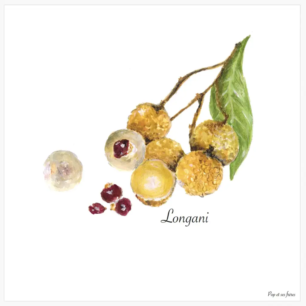 Affiche Les Longanis