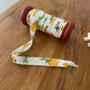 Biais - L' Ananas et Le Fruit de La Passion