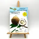 Cahier d'Esquisses - Abécédaire de La Réunion