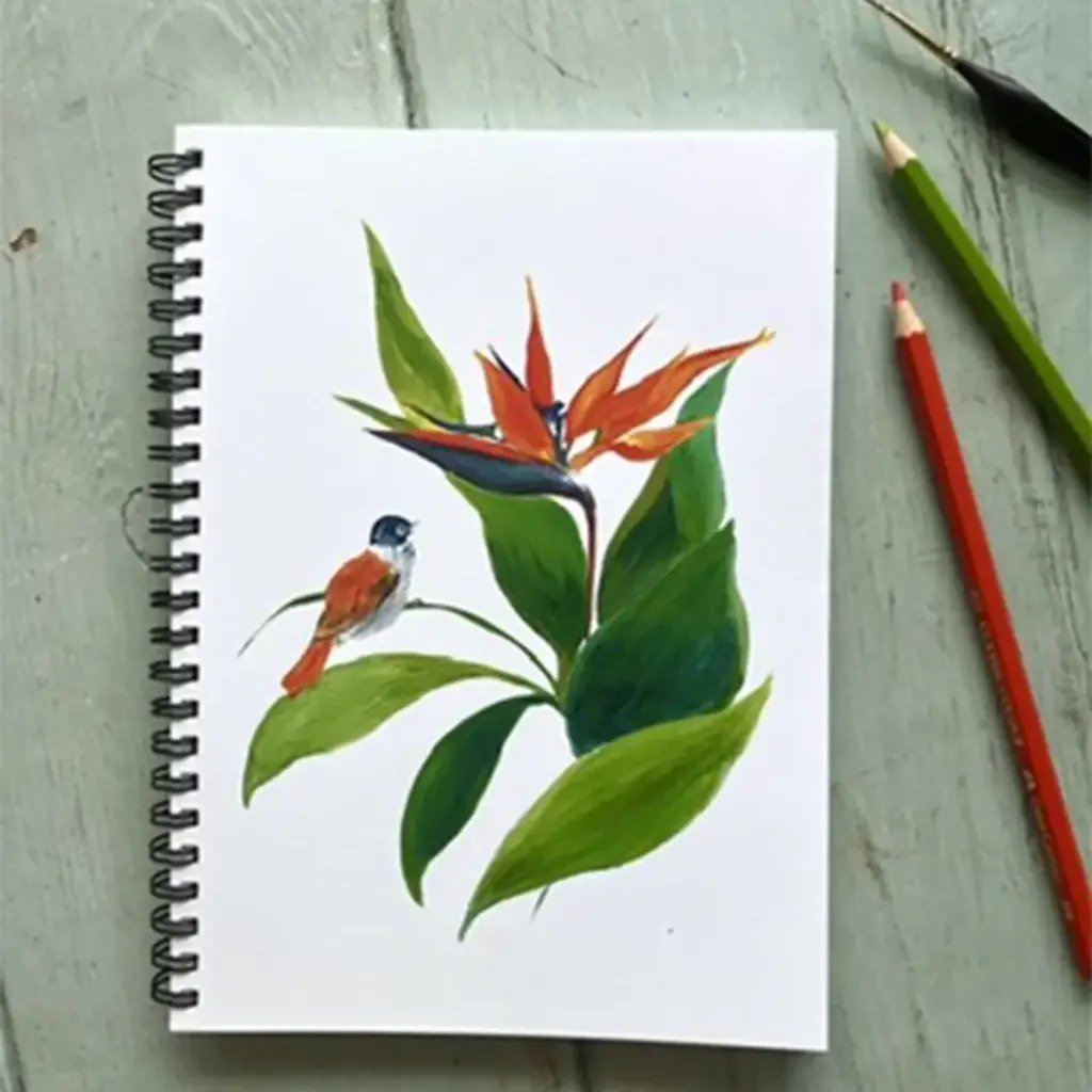 Carnet de Notes - L'Oiseau de Paradis