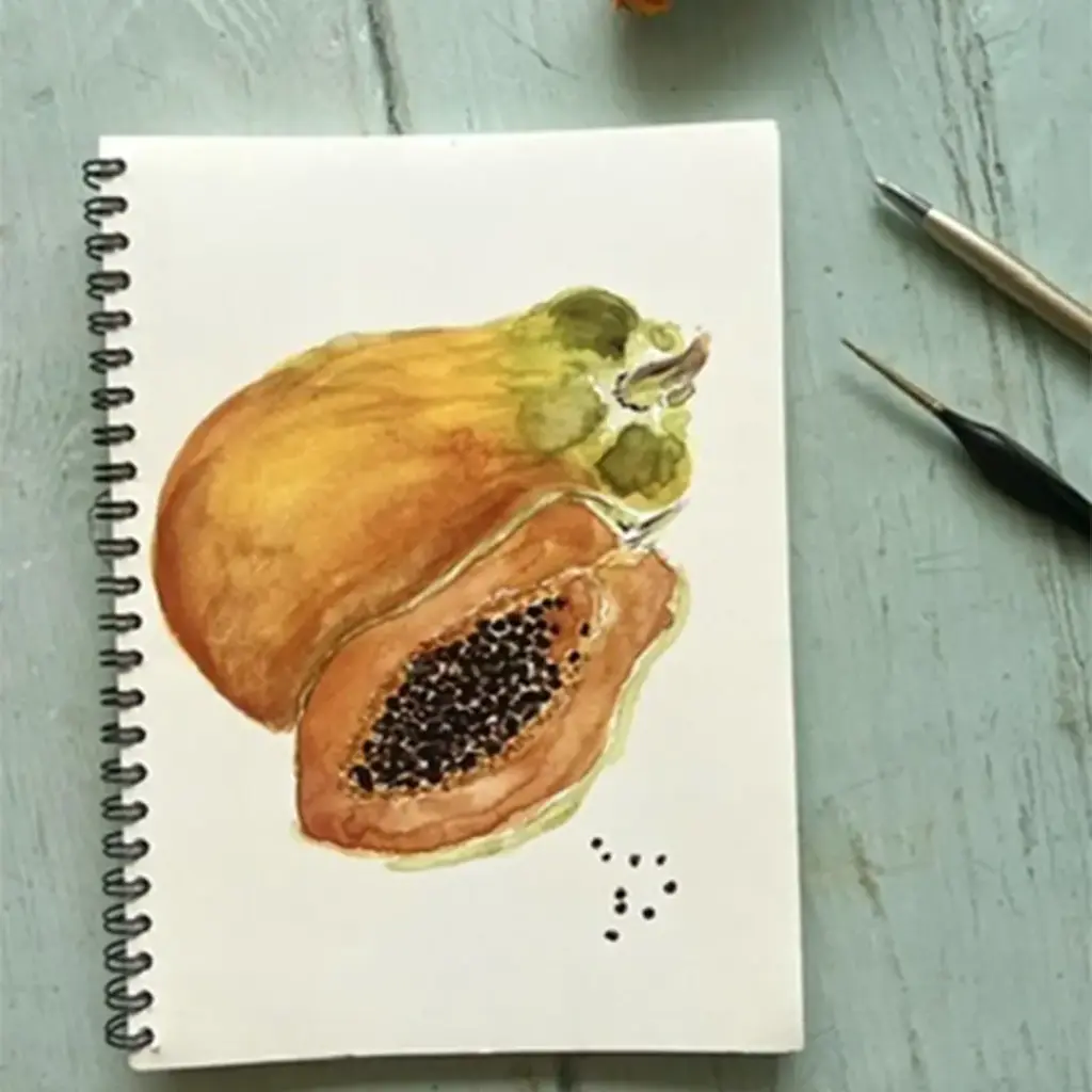 Carnet de Notes - La Papaye