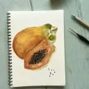 Carnet de Notes - La Papaye