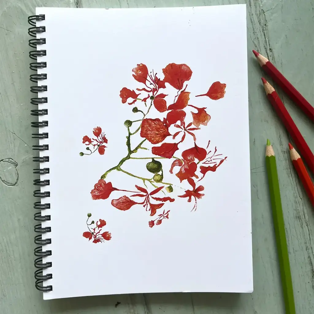 Carnet de Notes - Les Flamboyants