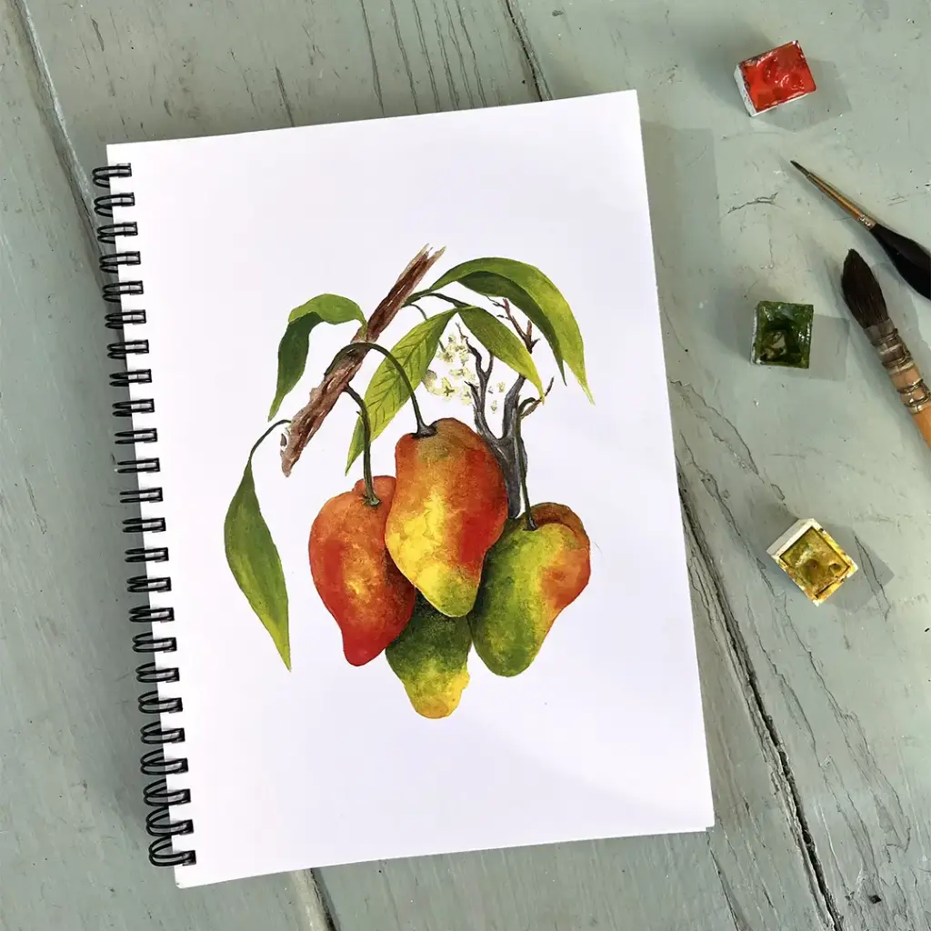 Carnet de Notes - Les Mangues