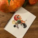 Carnet de Notes - Les Potirons