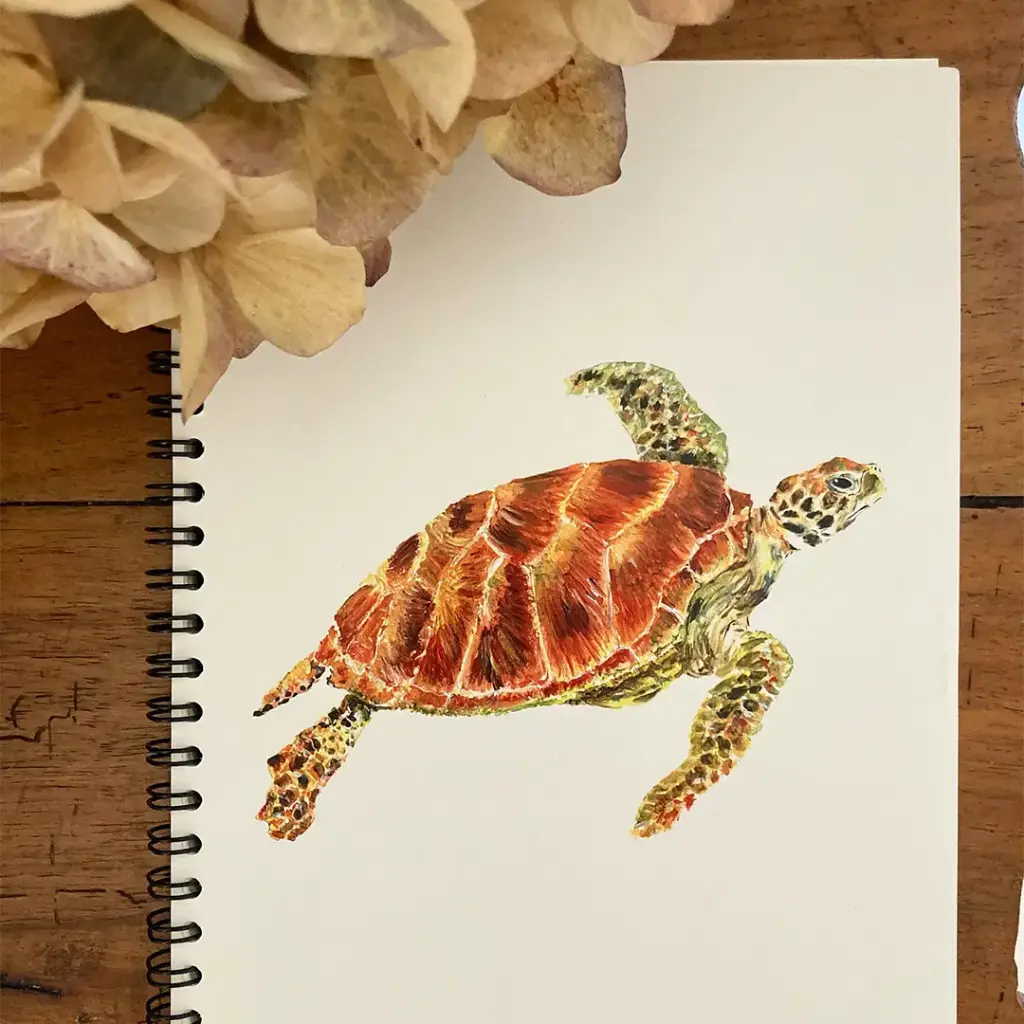 [4784] Carnet de Notes La Tortue Verte