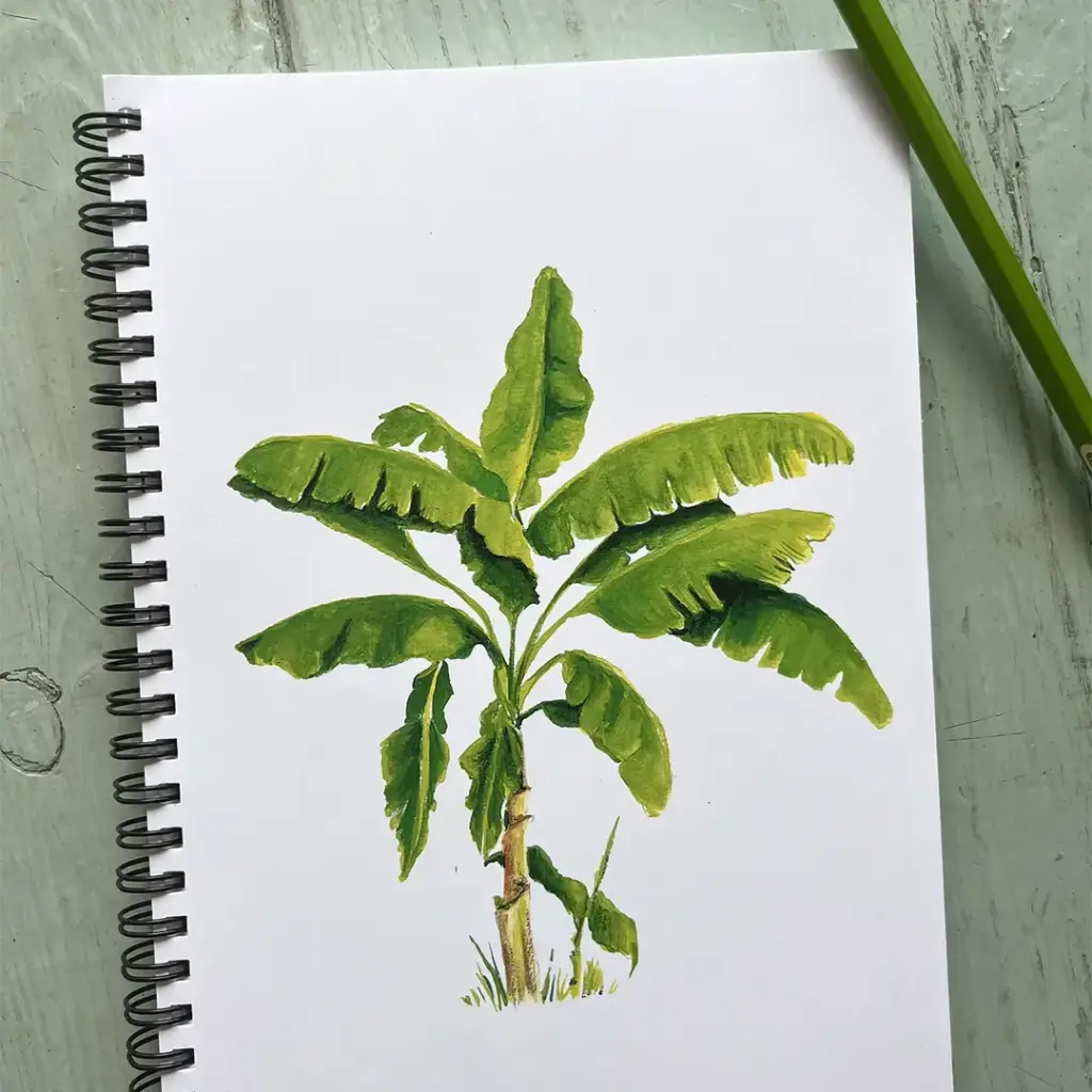 Carnet de Notes Le Bananier