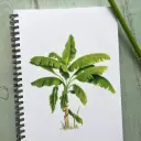 Carnet de Notes Le Bananier