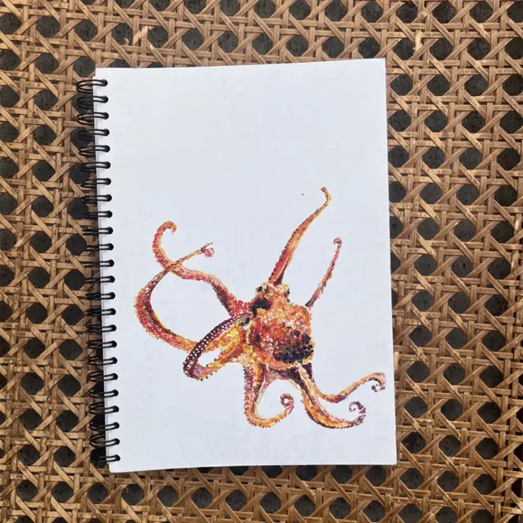 Carnet de Notes Le Zourite