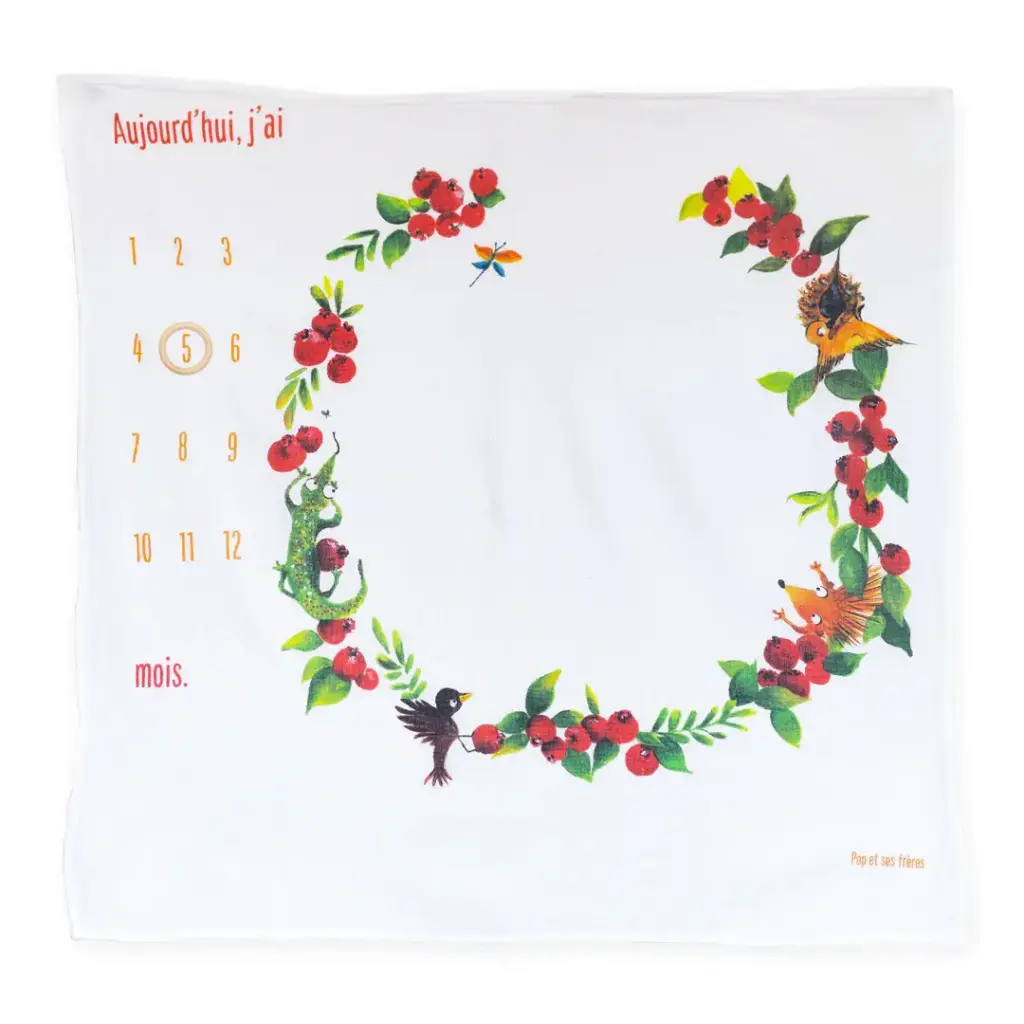 Carré Photo - Les Oiseaux et les Goyaviers