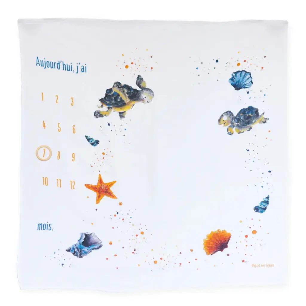 Carré Photo - Les Tortues et les Coquillages