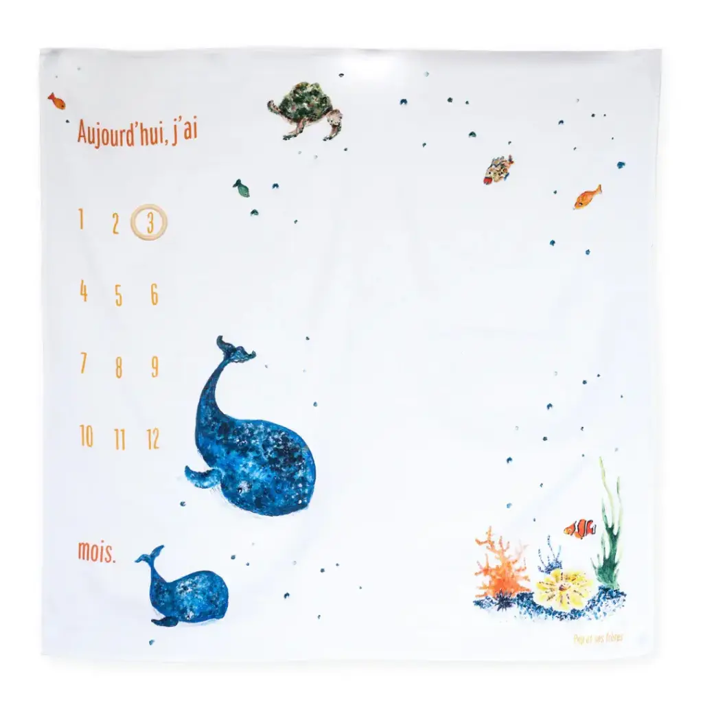 Carré Photo Les Baleines