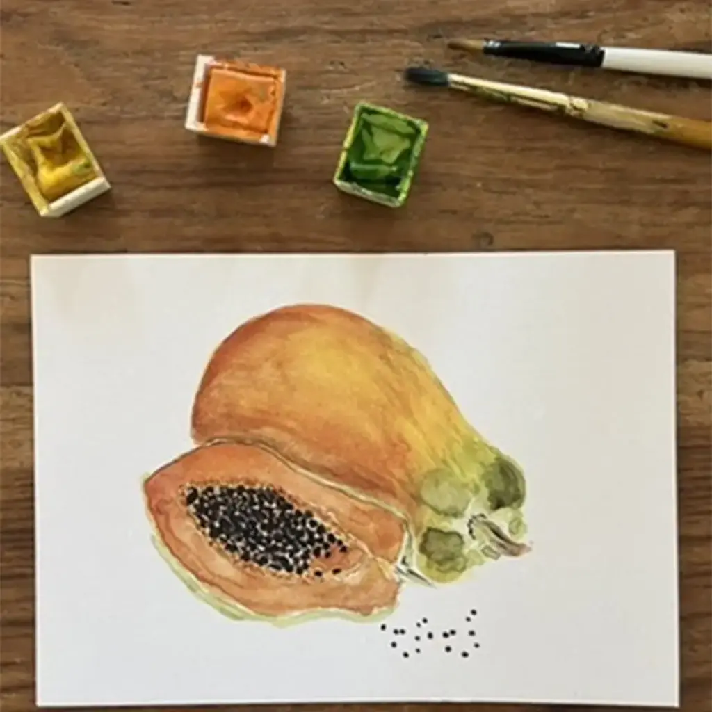 Carte Postale - La Papaye