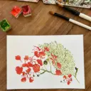 Carte Postale - Les Flamboyants