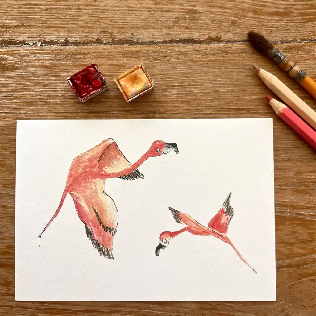 Carte Postale Les Flamants Volants