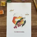 Carte Postale Toi Mon Amour - Bonbon Miel