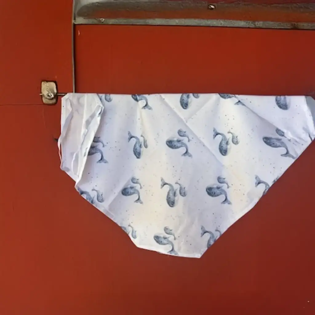 [2766] Drap École Maternelle - Les Baleines Bleues