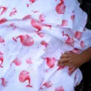 Grand Lange Lisse - Les Baleines Roses