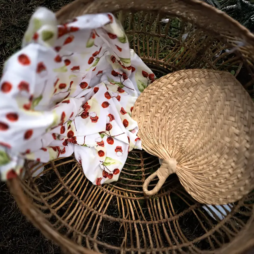 Petit Lange Lisse - Les Letchis