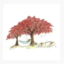 Petite Affiche Lecture Sous Le Flamboyant