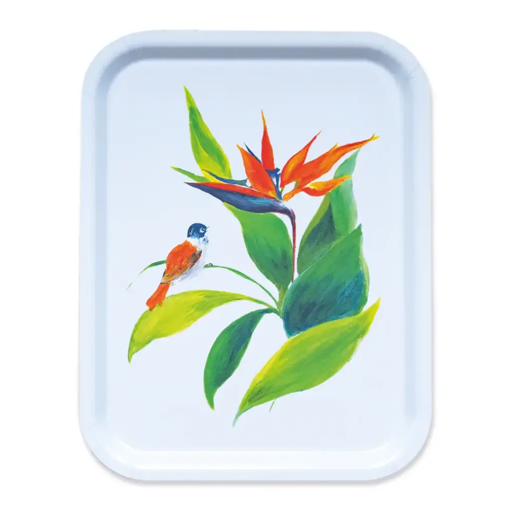 Plateau - L'Oiseau de Paradis