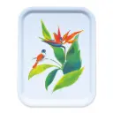 Plateau - L'Oiseau de Paradis