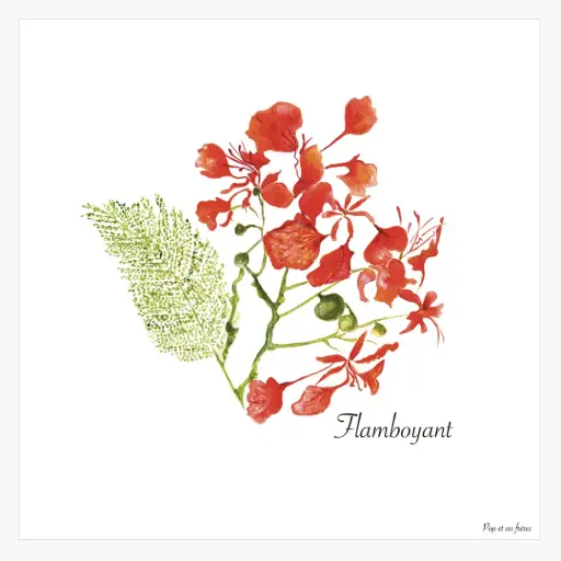 [5903] Affiche - Les Flamboyants