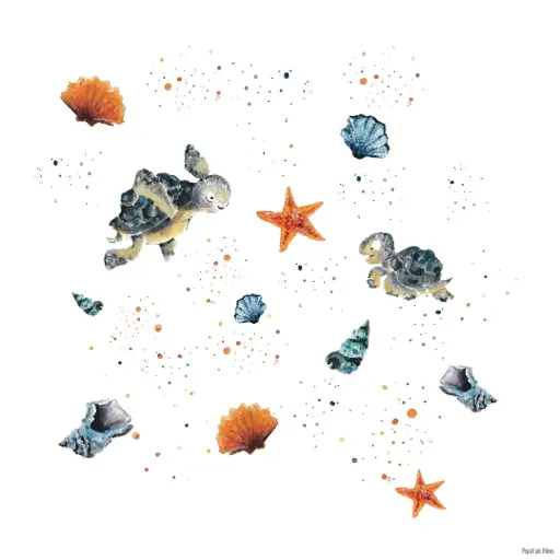[5477] Affiche - Les Tortues et les Coquillages