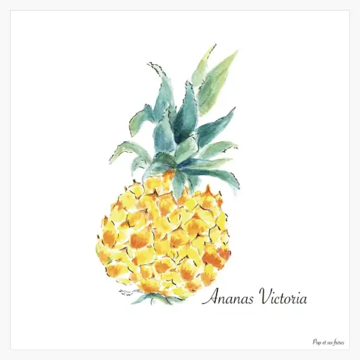 [6092] Affiche L' Ananas Victoria