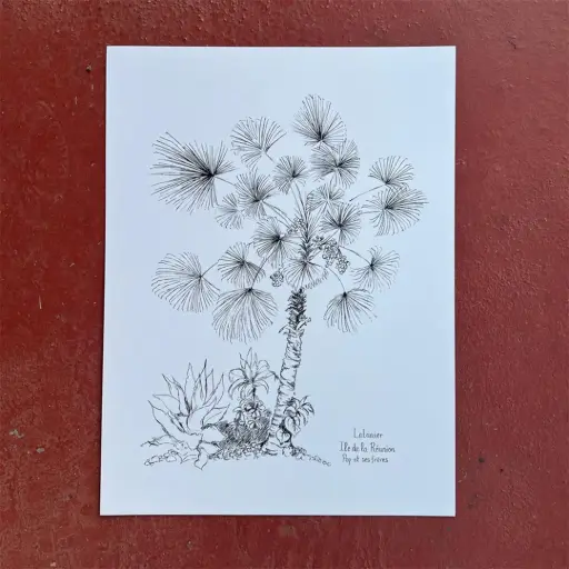 [5798] Affiche Latanier Noir