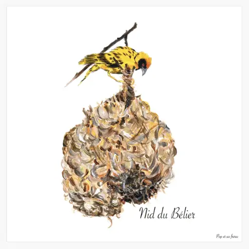 [5620] Affiche Le Nid de Belier