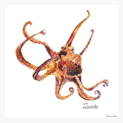 [5408] Affiche Le Zourite