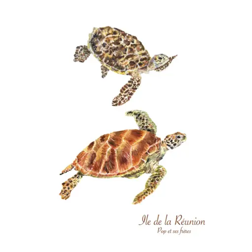 [5941] Affiche Les Deux Tortues de Mer