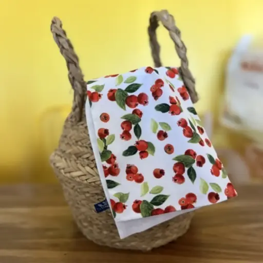 [6801] Bavoir École Maternelle - Les Goyaviers