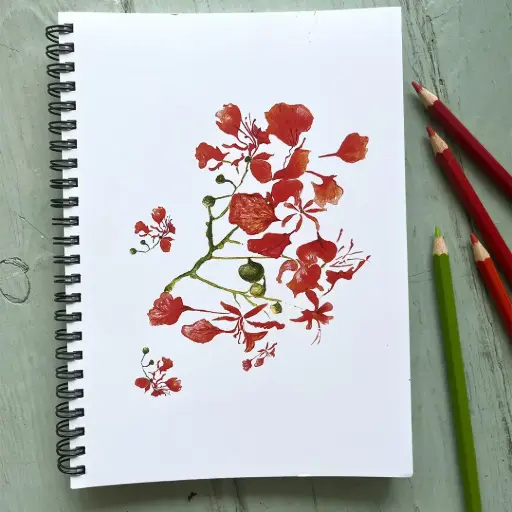 [4760] Carnet de Notes - Les Flamboyants