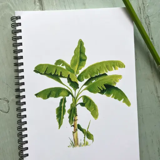 [0083] Carnet de Notes Le Bananier