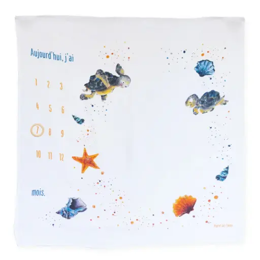 [4609] Carré Photo - Les Tortues et les Coquillages